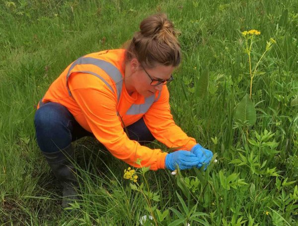 Melissa Curran collecting flowers