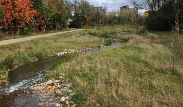 Small creek running through urban green space.