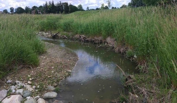 Small stream with sediment deposition on a point bar.