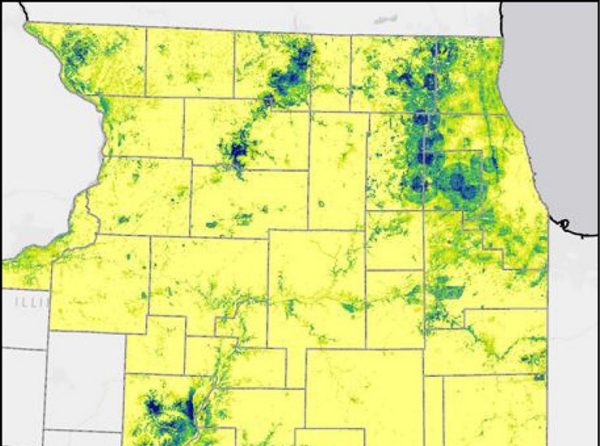 Multiple sites exhibited high potential for long-term pollinator habitat enhancement success. Pictured above is the rusty patched bumble bee habitat enhancement model.