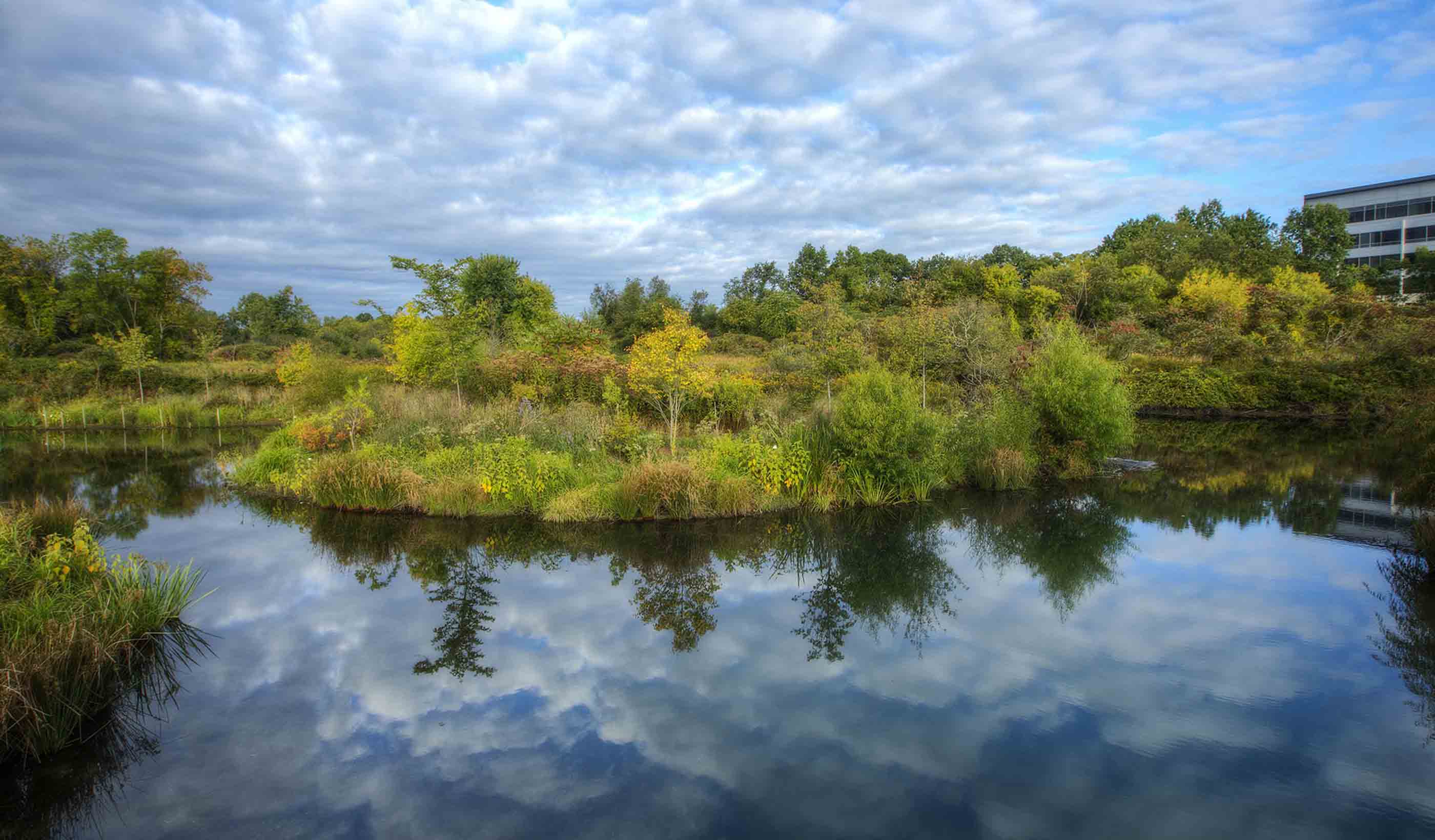 Celebrating World Water Day: What will it take to secure our water future? 