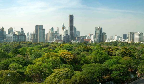 Public park and high-rise buildings cityscape in metropolis city center . Green environment city and downtown business district in panoramic view