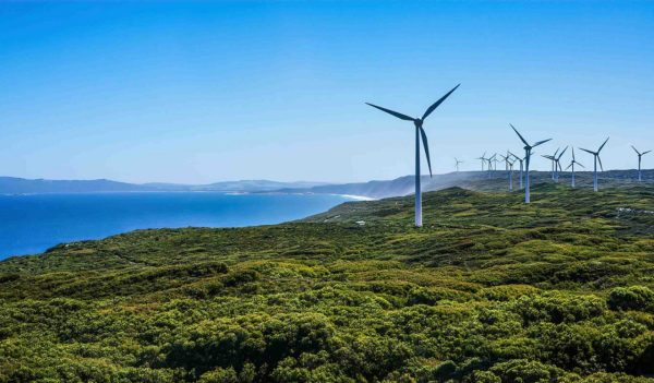 View of wind turbines along the coast.