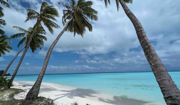 View of clear blue water from the white sand beach with palm trees.