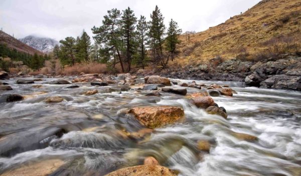 Cache Le Poudre River flows through the Poudre canyon west of Fort Collins Colorado on a gloomy day