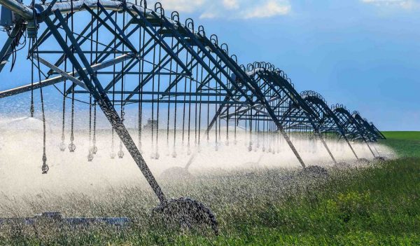 Irrigation sprinklers spraying water on a green field in southern Alberta