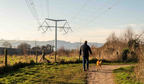 Man walking his dog on a path with transmission lines in the background.