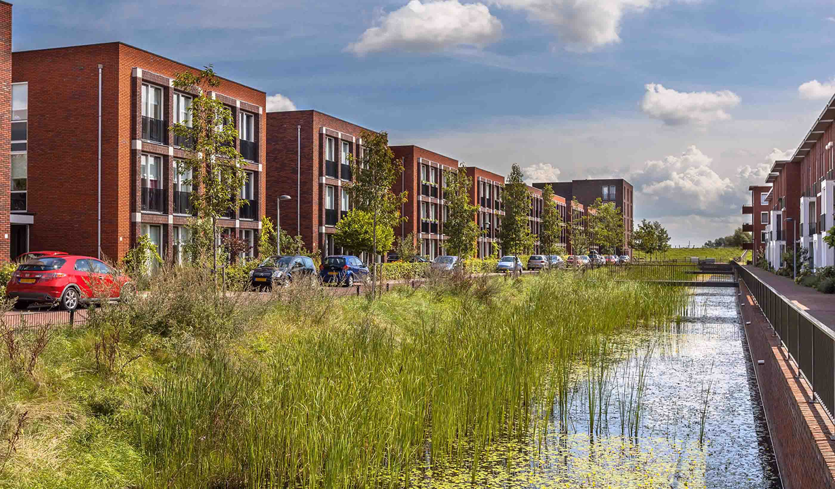 Read other client stories