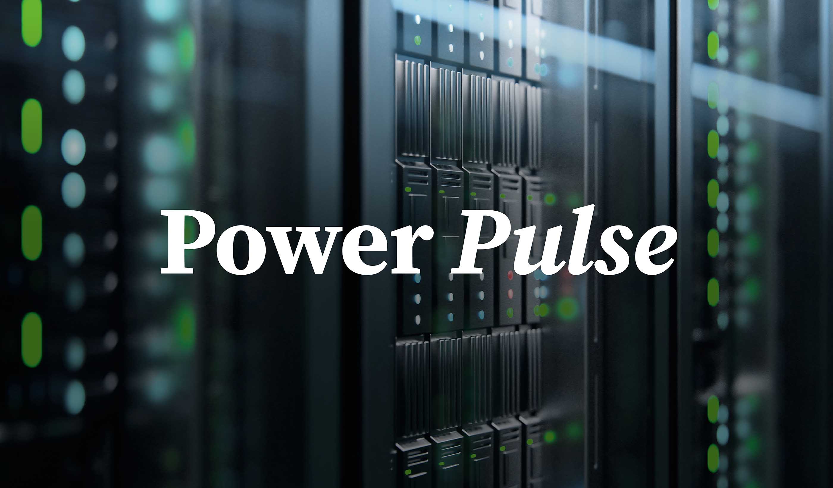 Power Pulse February 2025 │ Pause in grid connection applications