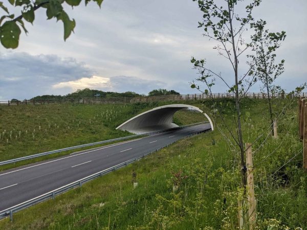 Green bridge with empty roads 