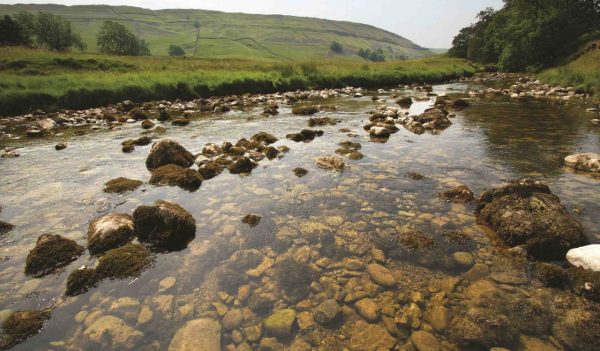 Picture of Yorkshire riverbed and surrounding river bank