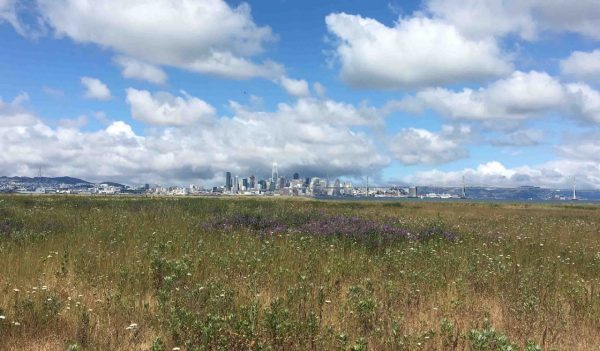 Far off view of buildings in a port