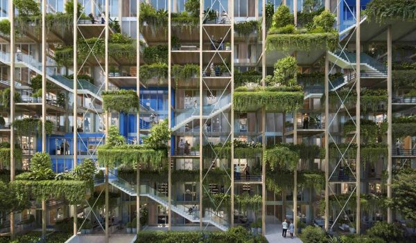 exterior rendering of a building concept with natural wood deck areas and foliage growing on them. 