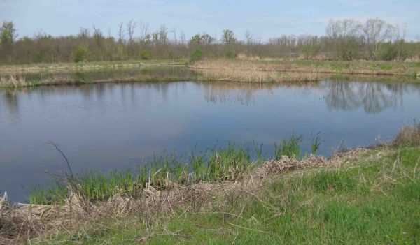 View of pond and surrounding grasslands