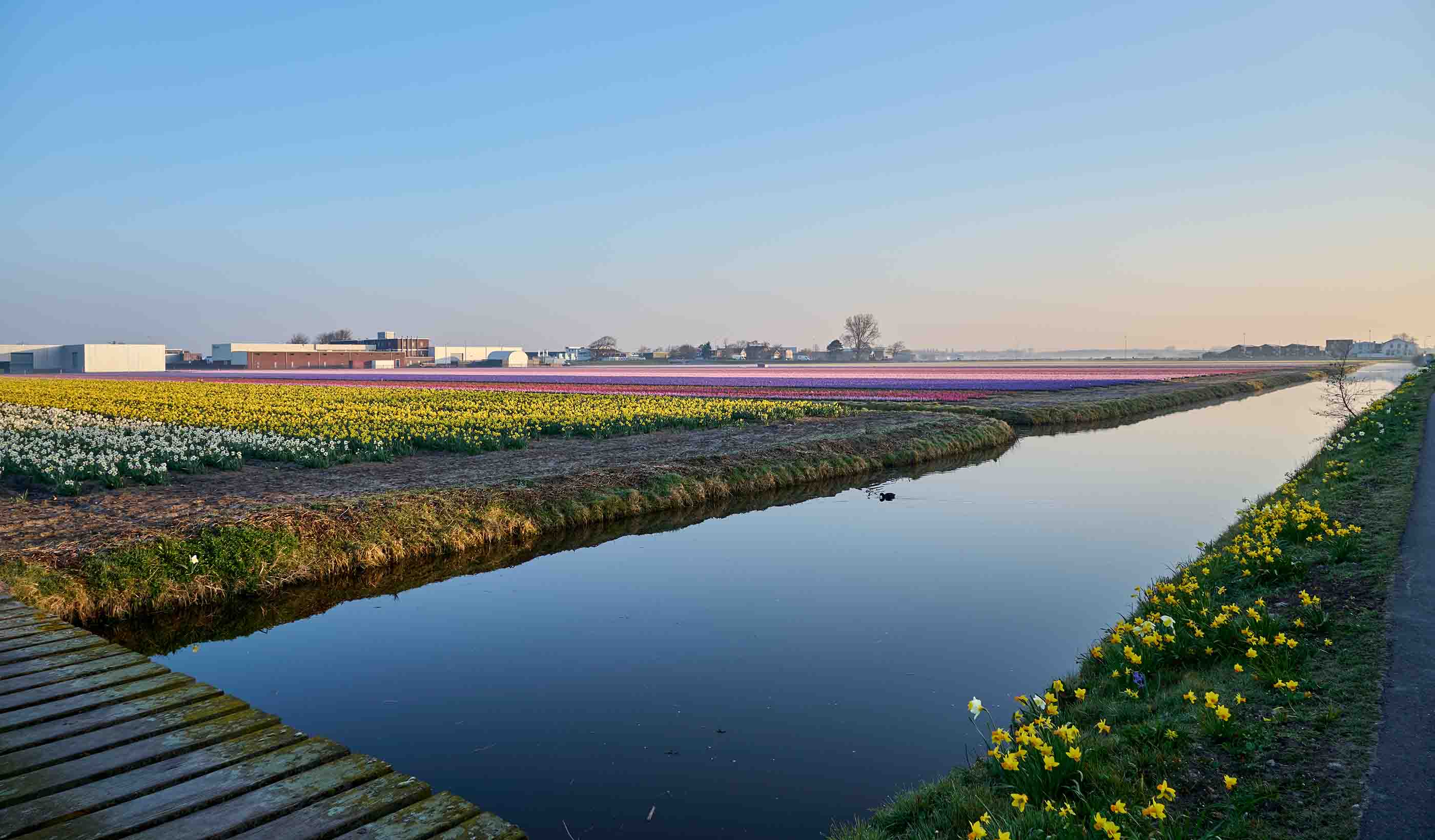 Onze projecten