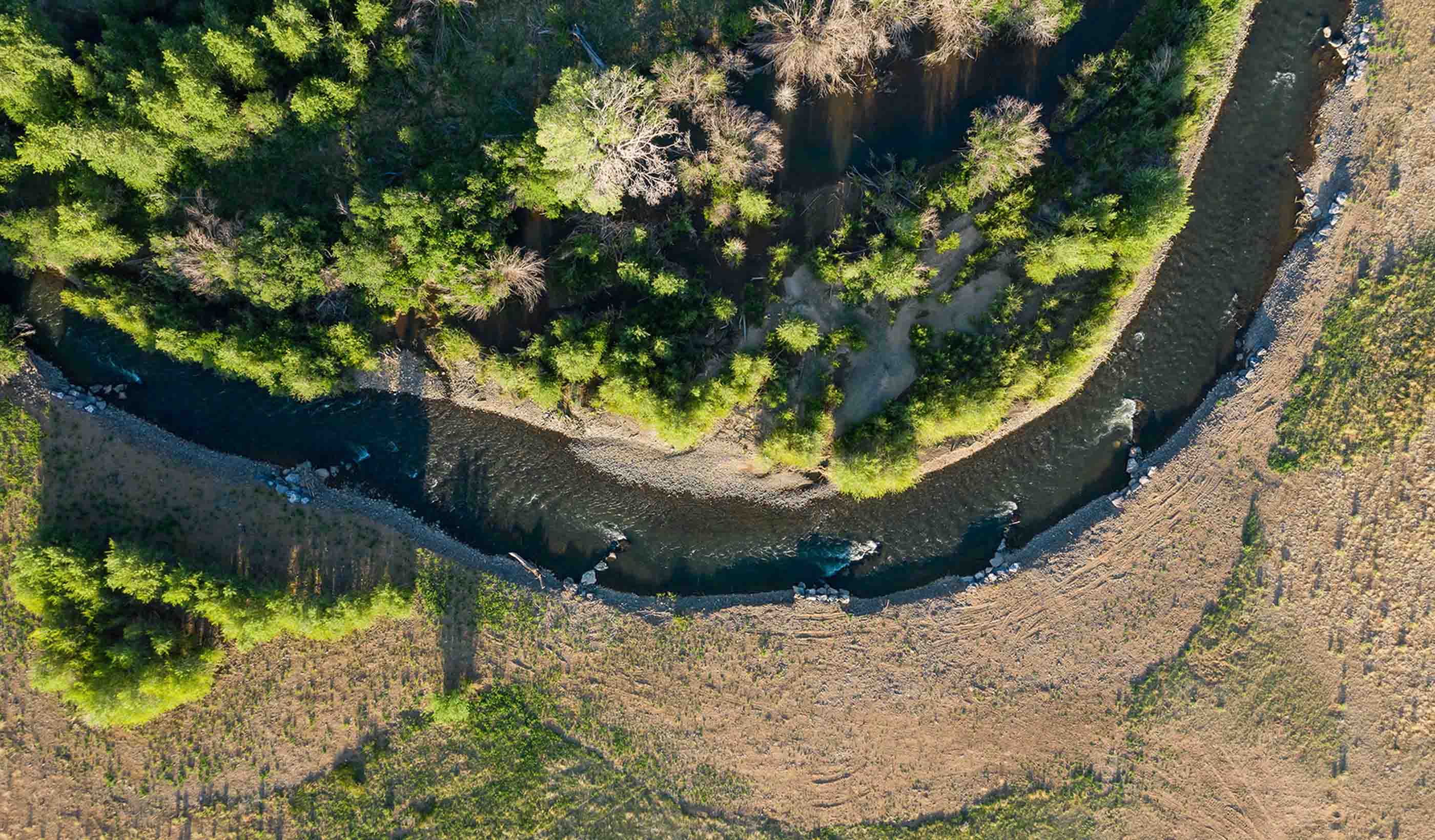 Stream restoration is critical for mine rehabilitation