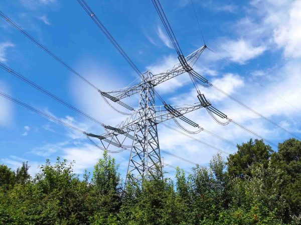 High voltage power lines towering over several trees