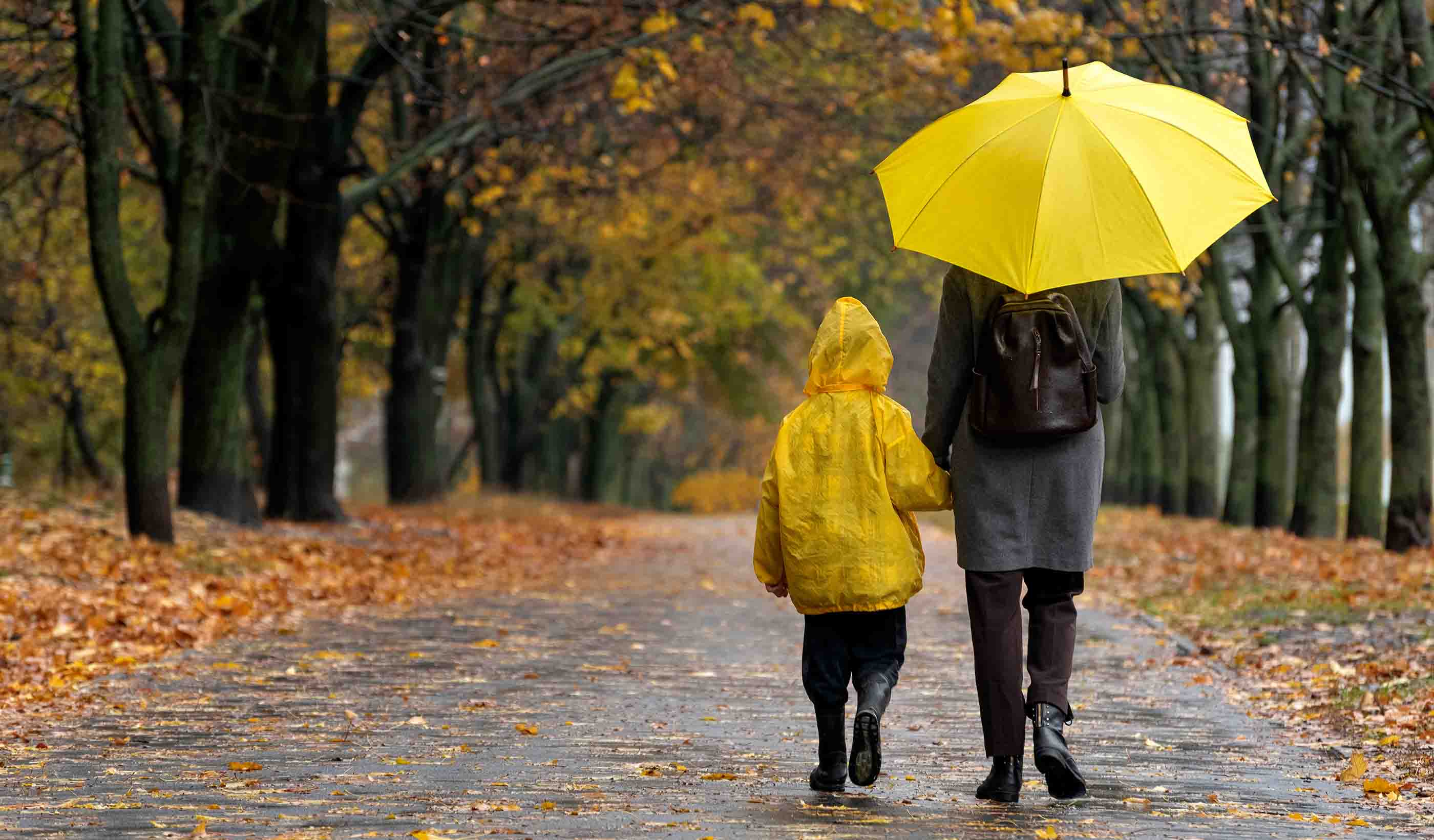 Combating PFAS forever chemicals